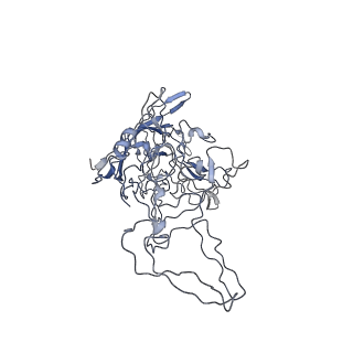 8100_5ipk_B_v1-5
Structure of the R432A variant of Adeno-associated virus type 2 VLP