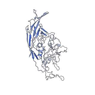 8100_5ipk_C_v1-4
Structure of the R432A variant of Adeno-associated virus type 2 VLP