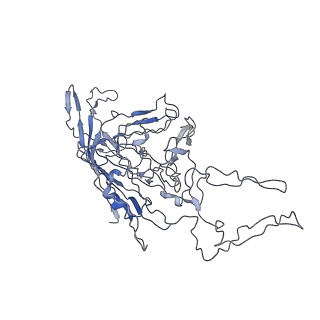 8100_5ipk_G_v1-5
Structure of the R432A variant of Adeno-associated virus type 2 VLP