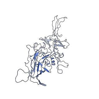 8100_5ipk_I_v1-4
Structure of the R432A variant of Adeno-associated virus type 2 VLP