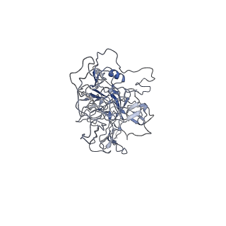 8100_5ipk_K_v1-4
Structure of the R432A variant of Adeno-associated virus type 2 VLP