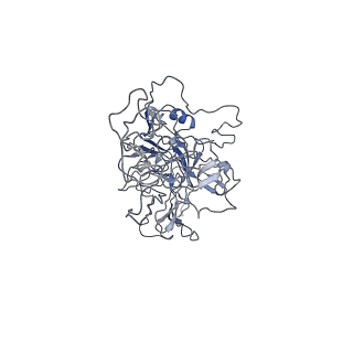 8100_5ipk_K_v1-5
Structure of the R432A variant of Adeno-associated virus type 2 VLP