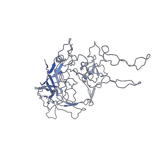 8100_5ipk_M_v1-4
Structure of the R432A variant of Adeno-associated virus type 2 VLP
