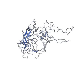 8100_5ipk_M_v1-5
Structure of the R432A variant of Adeno-associated virus type 2 VLP