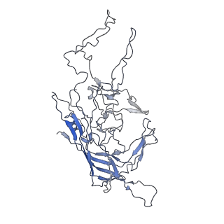8100_5ipk_N_v1-4
Structure of the R432A variant of Adeno-associated virus type 2 VLP