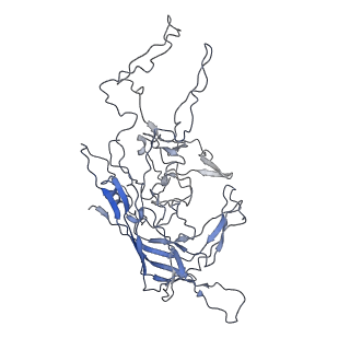 8100_5ipk_N_v1-5
Structure of the R432A variant of Adeno-associated virus type 2 VLP