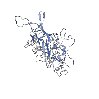 8100_5ipk_O_v1-4
Structure of the R432A variant of Adeno-associated virus type 2 VLP