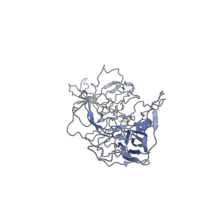 8100_5ipk_R_v1-4
Structure of the R432A variant of Adeno-associated virus type 2 VLP