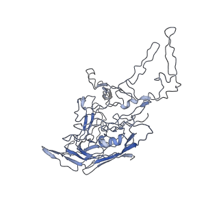 8100_5ipk_U_v1-4
Structure of the R432A variant of Adeno-associated virus type 2 VLP