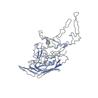 8100_5ipk_U_v1-5
Structure of the R432A variant of Adeno-associated virus type 2 VLP