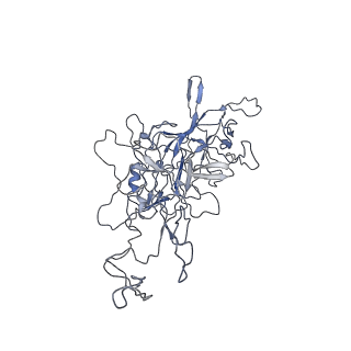 8100_5ipk_W_v1-4
Structure of the R432A variant of Adeno-associated virus type 2 VLP