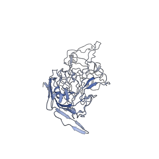 8100_5ipk_b_v1-4
Structure of the R432A variant of Adeno-associated virus type 2 VLP