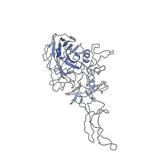 8100_5ipk_c_v1-4
Structure of the R432A variant of Adeno-associated virus type 2 VLP