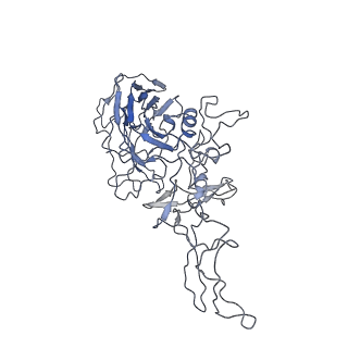 8100_5ipk_c_v1-5
Structure of the R432A variant of Adeno-associated virus type 2 VLP