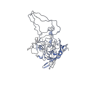 8100_5ipk_g_v1-4
Structure of the R432A variant of Adeno-associated virus type 2 VLP