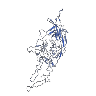 8100_5ipk_h_v1-4
Structure of the R432A variant of Adeno-associated virus type 2 VLP