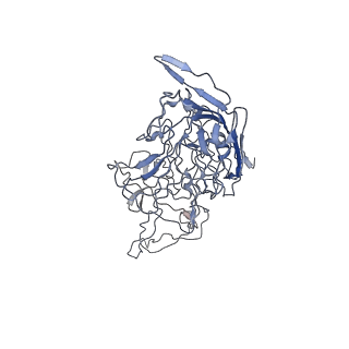 8100_5ipk_i_v1-4
Structure of the R432A variant of Adeno-associated virus type 2 VLP