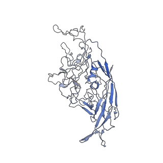 8100_5ipk_k_v1-4
Structure of the R432A variant of Adeno-associated virus type 2 VLP