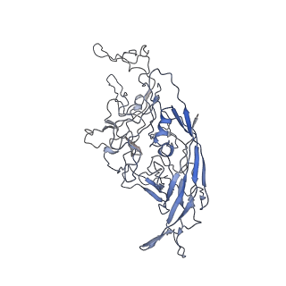 8100_5ipk_k_v1-5
Structure of the R432A variant of Adeno-associated virus type 2 VLP