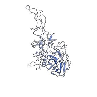 8100_5ipk_l_v1-4
Structure of the R432A variant of Adeno-associated virus type 2 VLP