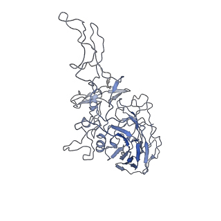 8100_5ipk_l_v1-5
Structure of the R432A variant of Adeno-associated virus type 2 VLP