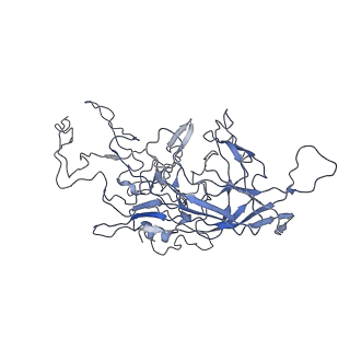 8100_5ipk_m_v1-5
Structure of the R432A variant of Adeno-associated virus type 2 VLP