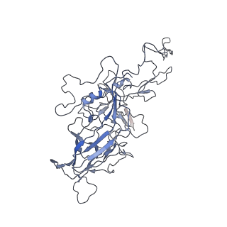 8100_5ipk_n_v1-4
Structure of the R432A variant of Adeno-associated virus type 2 VLP