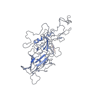 8100_5ipk_n_v1-5
Structure of the R432A variant of Adeno-associated virus type 2 VLP
