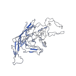 8100_5ipk_p_v1-5
Structure of the R432A variant of Adeno-associated virus type 2 VLP