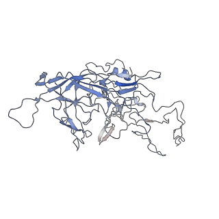 8100_5ipk_r_v1-4
Structure of the R432A variant of Adeno-associated virus type 2 VLP