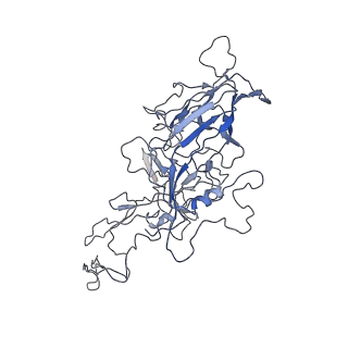 8100_5ipk_s_v1-4
Structure of the R432A variant of Adeno-associated virus type 2 VLP