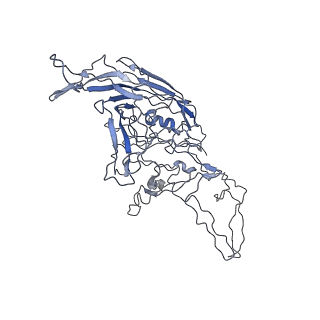 8100_5ipk_v_v1-5
Structure of the R432A variant of Adeno-associated virus type 2 VLP