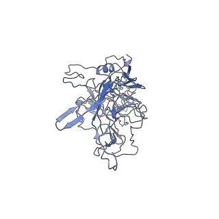 8100_5ipk_w_v1-4
Structure of the R432A variant of Adeno-associated virus type 2 VLP
