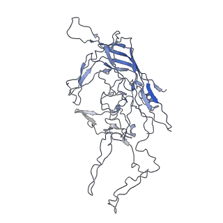 8100_5ipk_x_v1-5
Structure of the R432A variant of Adeno-associated virus type 2 VLP