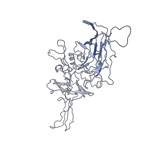 8100_5ipk_z_v1-4
Structure of the R432A variant of Adeno-associated virus type 2 VLP