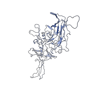 8100_5ipk_z_v1-5
Structure of the R432A variant of Adeno-associated virus type 2 VLP