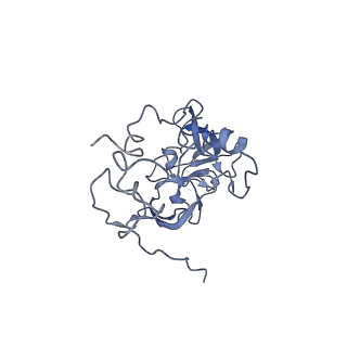 9701_6ip5_1D_v1-2
Cryo-EM structure of the CMV-stalled human 80S ribosome (Structure ii)