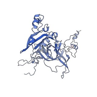 9701_6ip5_1E_v1-2
Cryo-EM structure of the CMV-stalled human 80S ribosome (Structure ii)
