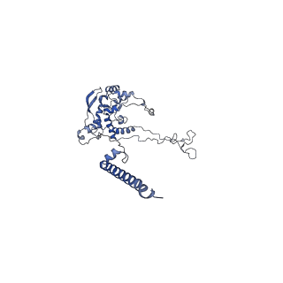 9701_6ip5_1F_v1-2
Cryo-EM structure of the CMV-stalled human 80S ribosome (Structure ii)