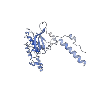 9701_6ip5_1G_v1-2
Cryo-EM structure of the CMV-stalled human 80S ribosome (Structure ii)