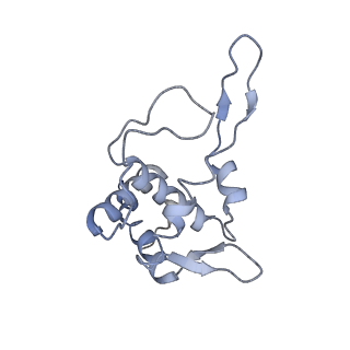 9701_6ip5_20_v1-2
Cryo-EM structure of the CMV-stalled human 80S ribosome (Structure ii)