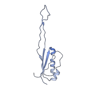 9701_6ip5_21_v1-2
Cryo-EM structure of the CMV-stalled human 80S ribosome (Structure ii)
