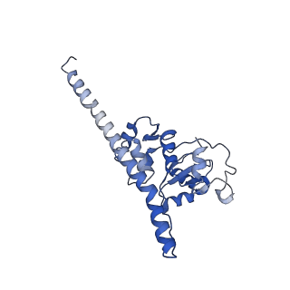 9701_6ip5_2A_v1-2
Cryo-EM structure of the CMV-stalled human 80S ribosome (Structure ii)