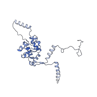 9701_6ip5_2B_v1-2
Cryo-EM structure of the CMV-stalled human 80S ribosome (Structure ii)