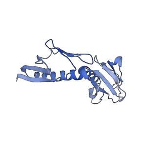 9701_6ip5_2C_v1-2
Cryo-EM structure of the CMV-stalled human 80S ribosome (Structure ii)