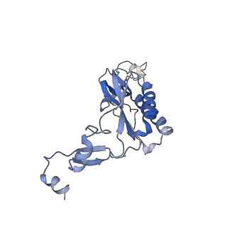 9701_6ip5_2D_v1-2
Cryo-EM structure of the CMV-stalled human 80S ribosome (Structure ii)