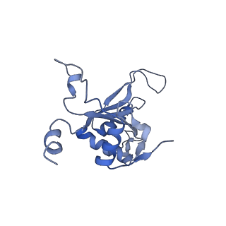 9701_6ip5_2E_v1-2
Cryo-EM structure of the CMV-stalled human 80S ribosome (Structure ii)