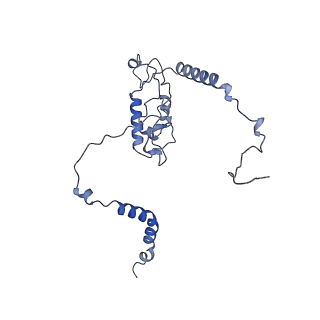 9701_6ip5_2F_v1-2
Cryo-EM structure of the CMV-stalled human 80S ribosome (Structure ii)