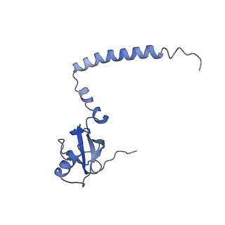 9701_6ip5_2G_v1-2
Cryo-EM structure of the CMV-stalled human 80S ribosome (Structure ii)
