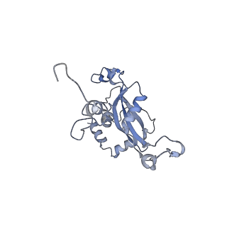 9701_6ip5_2H_v1-2
Cryo-EM structure of the CMV-stalled human 80S ribosome (Structure ii)